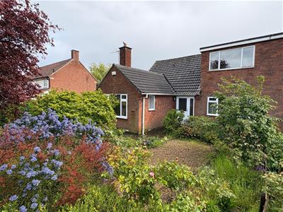 Picture 29
